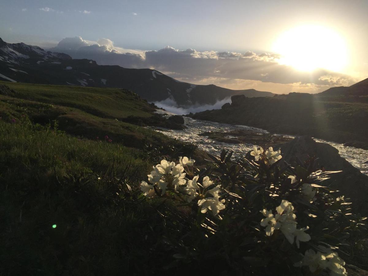 Kaya Life Resort Uzungol Bagian luar foto